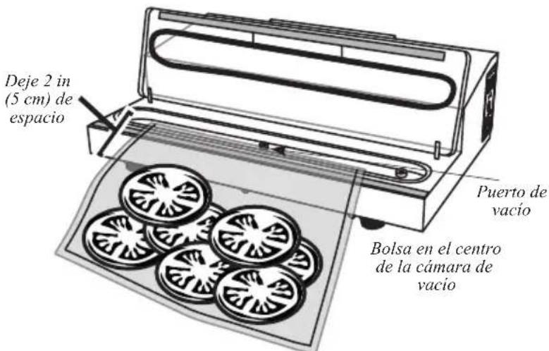 Weston 65-0101 - ¡ADVERTENCIA! Antes de limpiar, ensamblar o desarmar, ¡asegúrese de que la selladora al vacío se encuentre APAGADA y que EL ENCHUFE SE HAYA RETIRADO DEL TOMACORRIENTE O DE LA FUENTE DE ALIMENTACIÓN! - 1