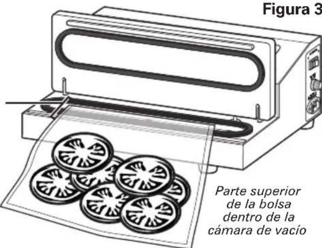 Weston VC14 - Instrucciones de funciona - 1