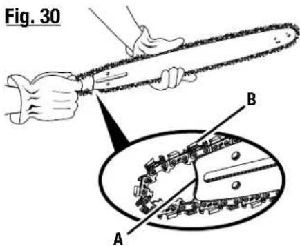 Fig. 30 A B