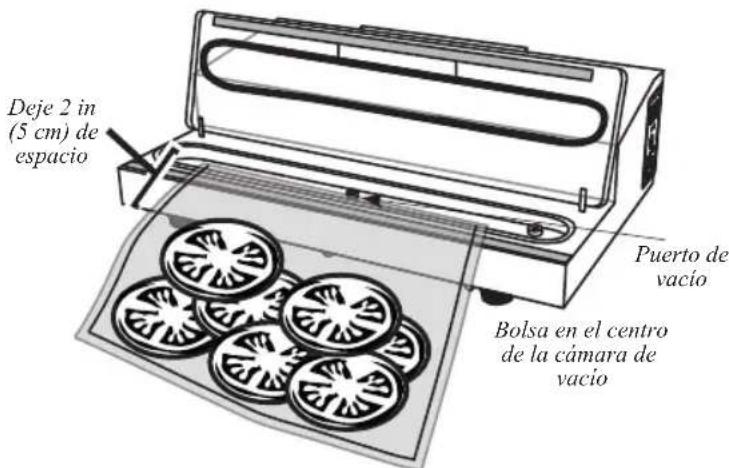 Weston 65-0201 - BOTONES DEL CONTROL - 2