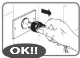RGV Industrial Juicer - Avant de brancher l'appareil, assurez-vous que la tension correspond aux specifications sur la plaque signalétique (voir page 83). - 1