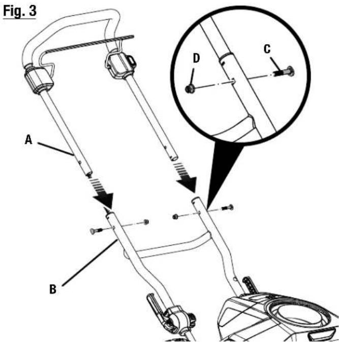 Fig. 3 A B C D