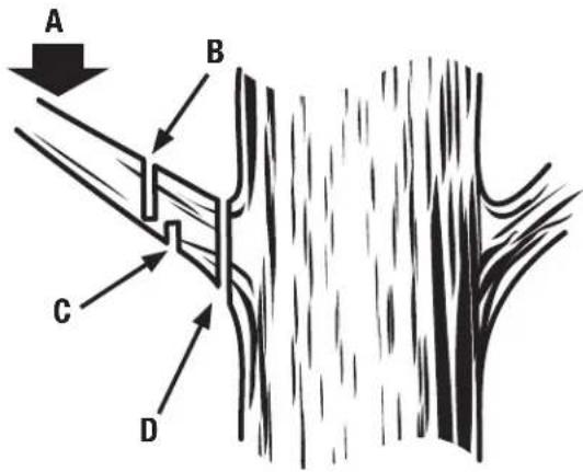 RYOBI One+ P2501 - See this fold-out section for all of the figures referenced in the operator's manual. - 5