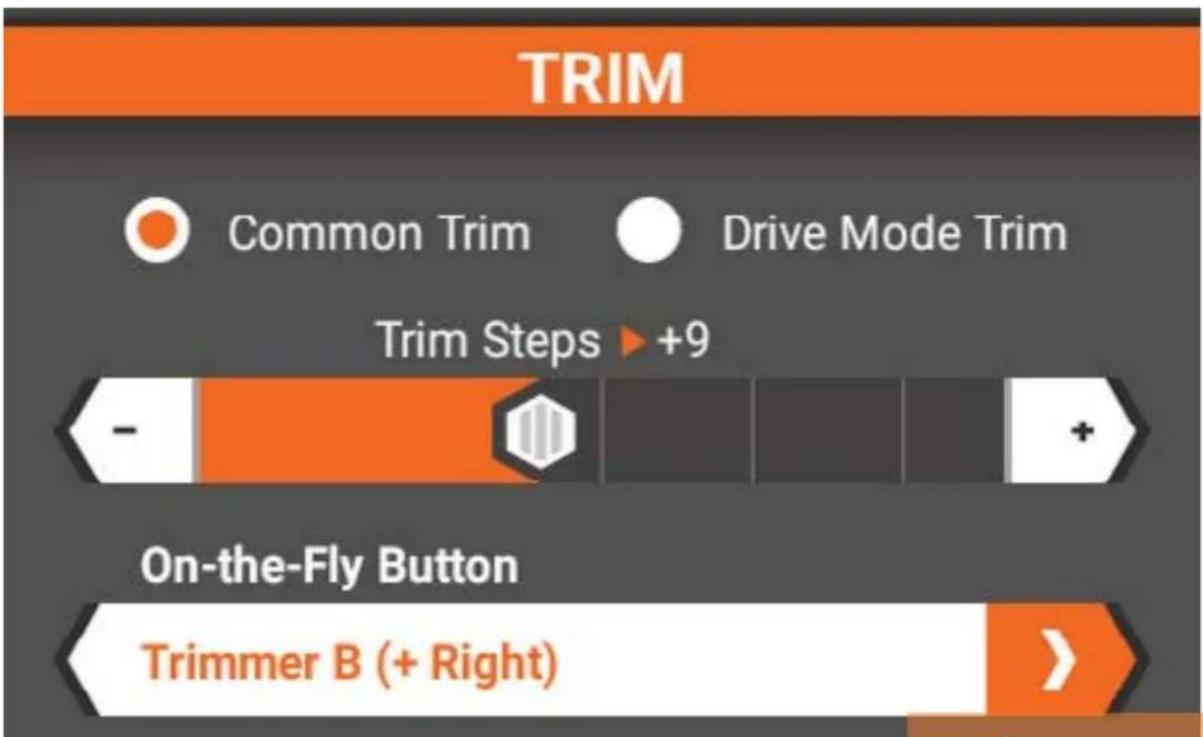 SPEKTRUM iXSR - COMPENSATEUR DE DIRECTION - 1