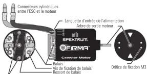 Connecteurs cylindriques entre l'ESC et le moteur Languette d'entrée de l'alimentation Arbre de sortie moteur SPEKTRUM. FIRMA® Crawler Motor Balais Vis de fixation de balais Ressort de balais Drifice de fixation M3