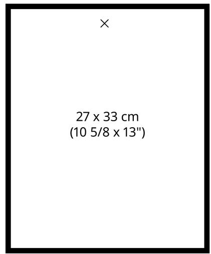 × 27 x 33 cm (10 5/8 x 13")