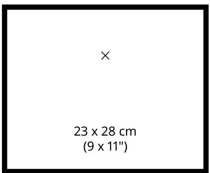 × 23 x 28 cm (9 x 11")