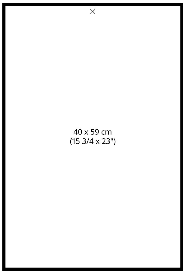 40 x 59 cm (15 3/4 x 23")