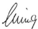 Collomix Xo 1R HF - CE - Uygunluk Açiklamasi - 1