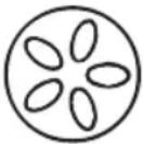 Vonroc BQ501XX - Grillguide - 1