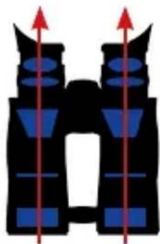 Steiner HX 10x56 - B - 1