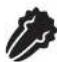 FOODSAVER FM2437 - IMPORTANT: - 1