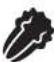 FOODSAVER FM2437 - IMPORTANTE: - 1