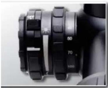 Steiner Nighthunter Xtreme 1-5x24 - Ajuste de paralaje y ajuste de enfoque - 1