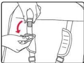 BRITAX B-Ready Second Seat - Ajuster le harnais du deuxième siège - 1
