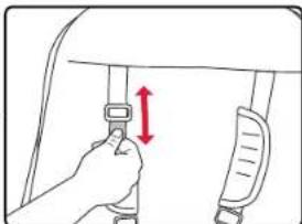 BRITAX B-Ready Second Seat - Ajuster le harnais du deuxième siège - 2