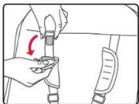 BRITAX B-Ready Second Seat - Adjusting the Second Seat Harness Second Seat with Infant Car Seat - 1