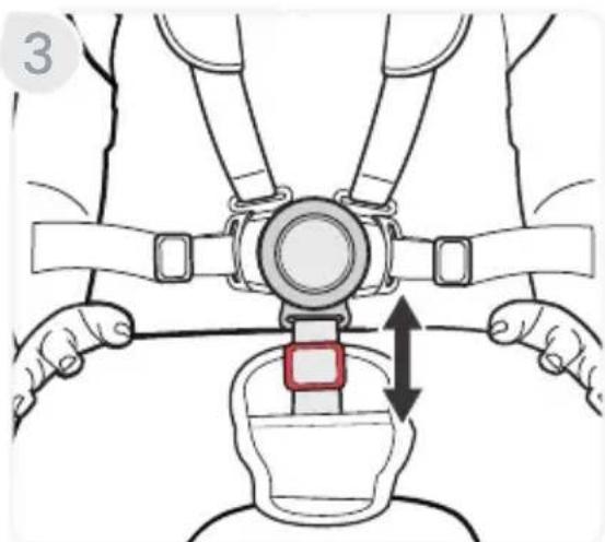 BRITAX Grove - Como Usar el Arnés - 15