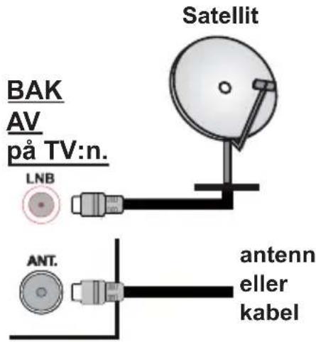 PANASONIC TS-32N30AEZ - Antennanslutning - 1