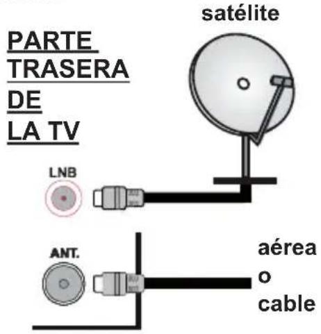 PANASONIC TS-32N30AEZ - Conexión de la Antena - 1