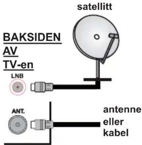 PANASONIC TS-32N30AEZ - Antennetilkobling - 1
