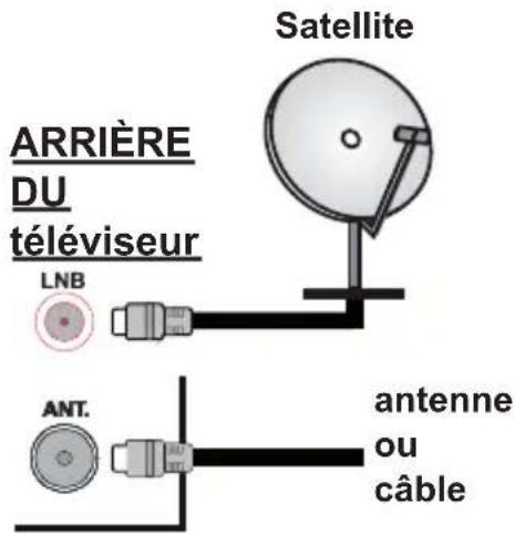 PANASONIC TS-32N30AEZ - Branchement de l'antenne - 1