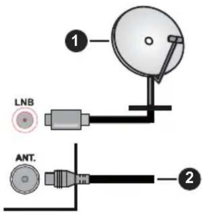 PANASONIC TS-24N30AEZ - Parte posterior de la TV - 1