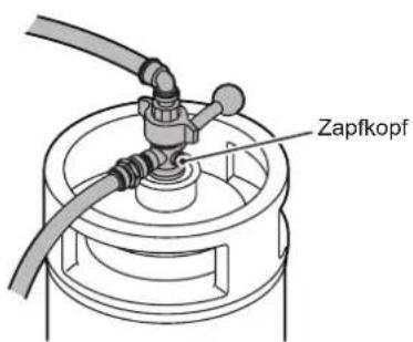 Hoshizaki BEERMATIC DualTap DBF-AS65WE-EU-HC - ZAPFKOPF (WÖCHENTLICH) - 1
