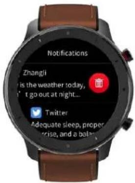 TIMEX Metropolitan R - Notifications - 2