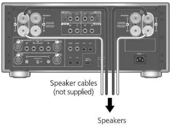 PANASONIC SU-R1000 - Speakers/AC mains lead - 1