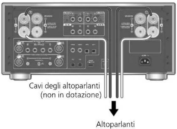 PANASONIC SU-R1000 - Altoparlanti/cavo di alimentazione CA - 1