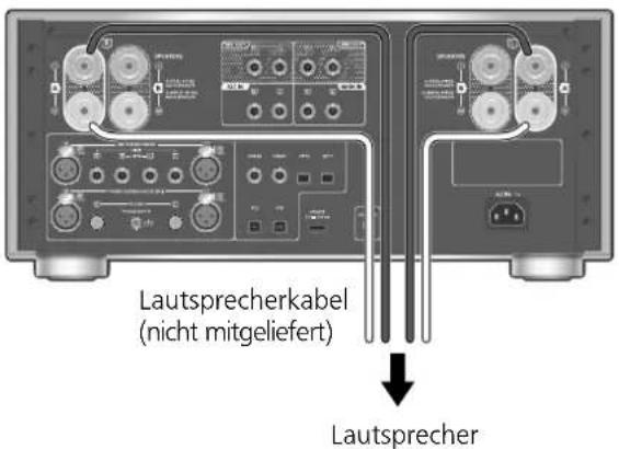 PANASONIC SU-R1000 - Lautsprecher/Netzkabel - 1