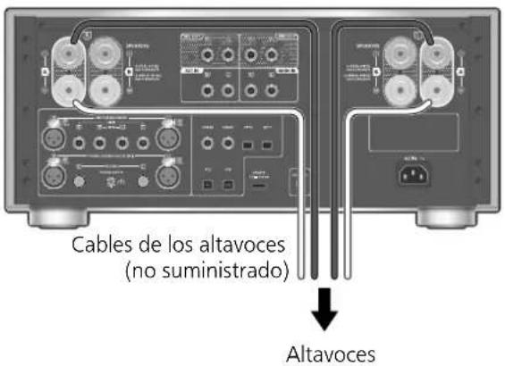 PANASONIC SU-R1000 - Altavoces/cable de alimentación de CA - 1