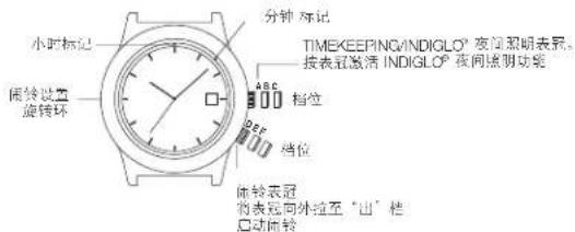 TIMEX Analog - 简便闹铃 - 1