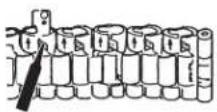 TIMEX Analog - REMOVING LINKS: - 1