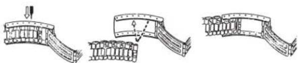 TIMEX Analog - BRACCIALE CON FERMAGLIO RIPIEGABILE - 1