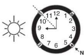TIMEX Analog - PUSULA HALKASI - 1