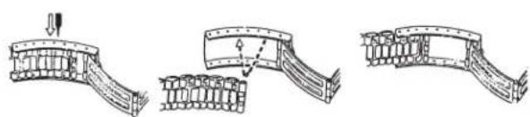 TIMEX Analog - BRACELET À FERMOIR COULISSANT - 2