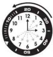 TIMEX Analog - PER IMPOSTARE L'ORA - 1