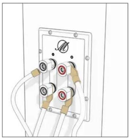 TRIANGLE Magellan Duetto - Bi-wiring &amp; bi-amping - 6