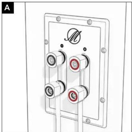 TRIANGLE Magellan Duetto - C - Connection with fork-mounted cables - 1