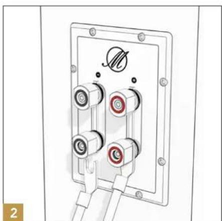 TRIANGLE Magellan Duetto - C - Connection with fork-mounted cables - 4