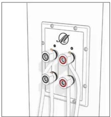 TRIANGLE Magellan Duetto - Bi-wiring &amp; bi-amping - 4
