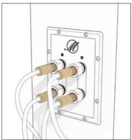 TRIANGLE Magellan Duetto - Bi-wiring &amp; bi-amping - 5
