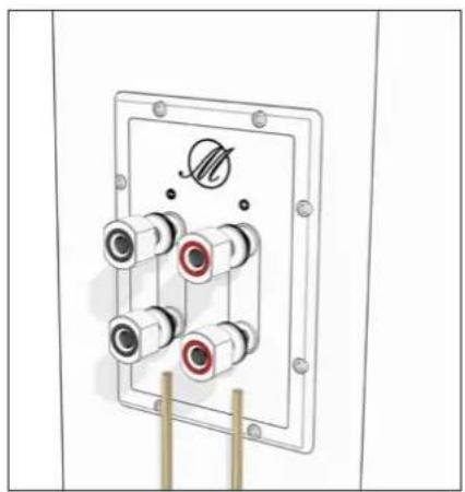 TRIANGLE Magellan Duetto - Bi-wiring &amp; bi-amping - 3