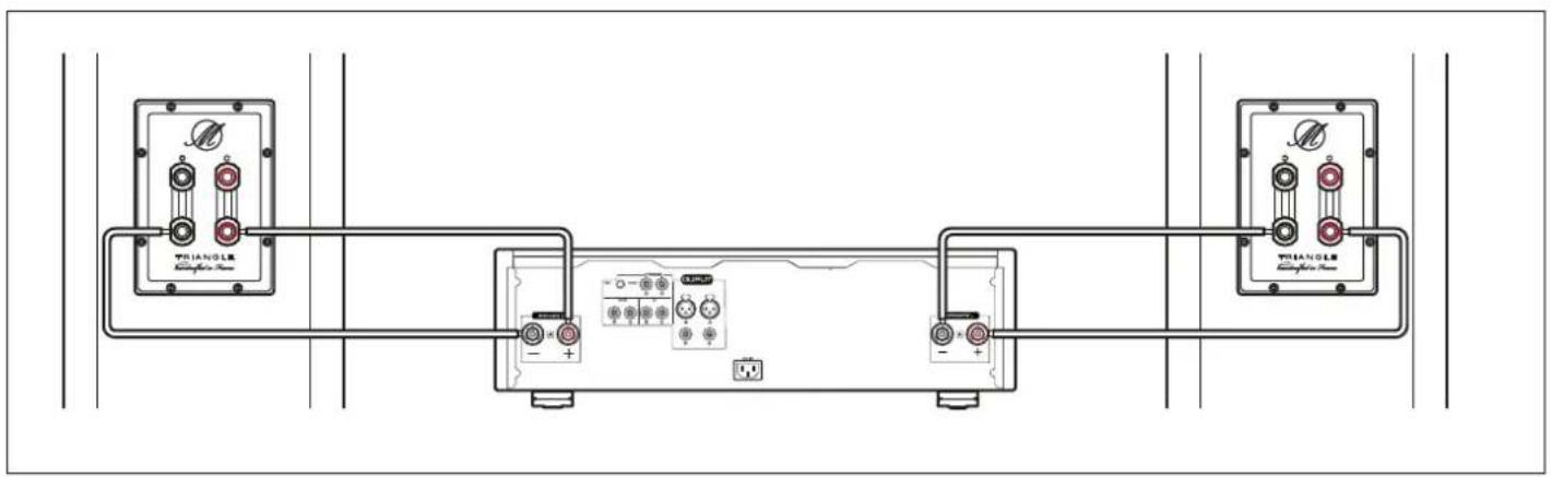 TRIANGLE Magellan Duetto - MONO-WIRING connections - 1