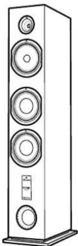 TRIANGLE Esprit Australe Ez - ESPRIT Ez - 2