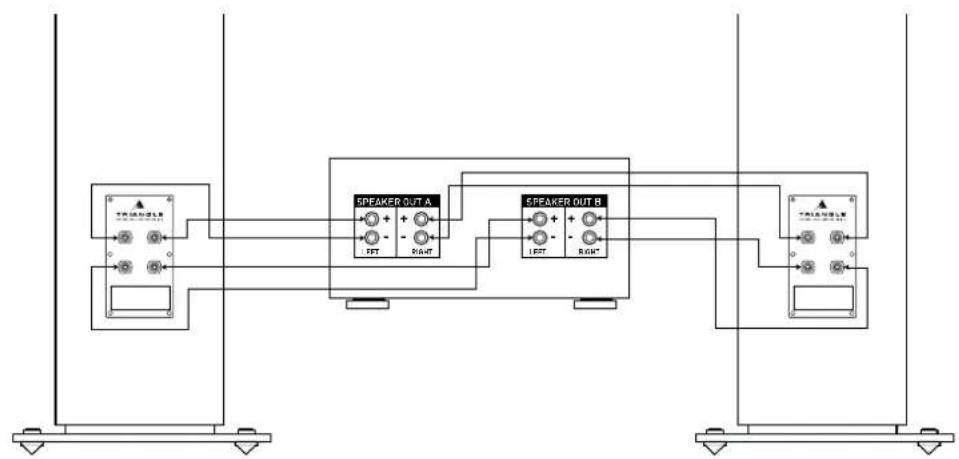 TRIANGLE Esprit Australe Ez - Bi-amplification and bi-wiring for Antal Ez. - 4