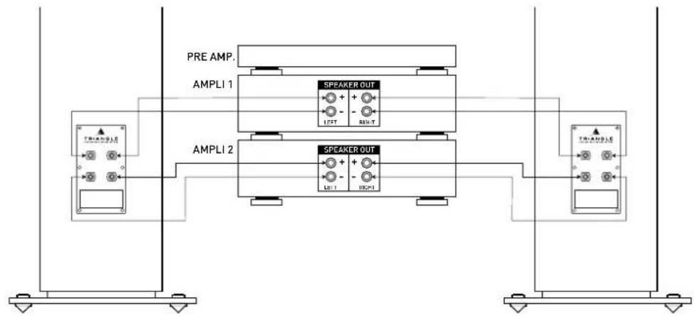 TRIANGLE Esprit Australe Ez - Bi-amplification and bi-wiring for Antal Ez. - 3