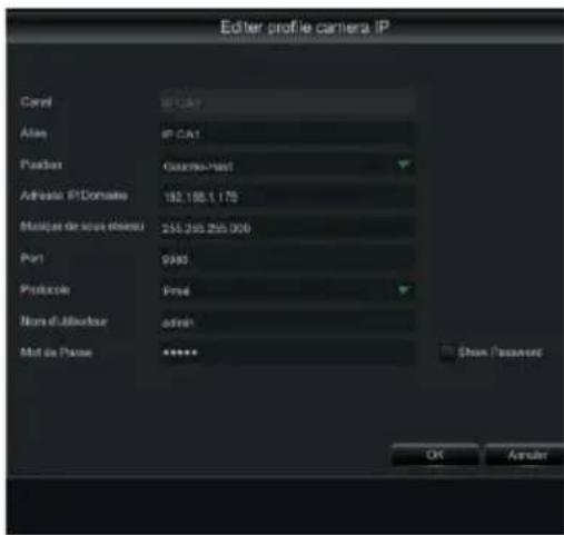 Editor profile camera IP Caviel 87 CA1 Alias 87 CA1 Position Guarant-Hast Adhesie IP Domaine 192.156.1.175 Multiplier de sous-esenter 255.255.255.000 Port 9980 Protocolin Prest None d'Maxiter atrest Mol de Prime *****